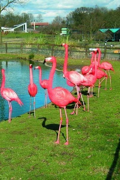 Nature reserves